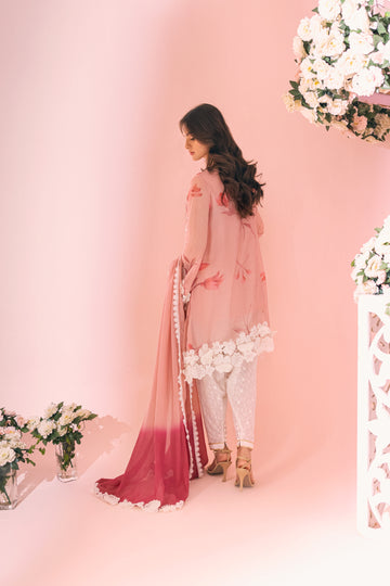 Pink Rose Inaaya Embroidered Khaddi Net Dress | RJ’S PRET