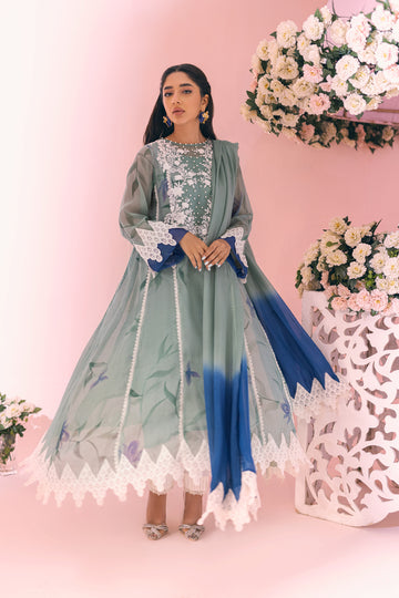 Mint Rose Inaaya Embroidered Khaddi Net Suit | RJ’S PRET