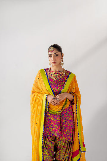 VIVID | LAILA | RJ'S PRET