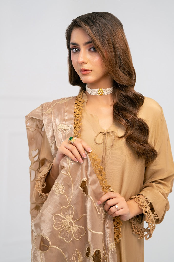 EARTHY COMB | FESTAL-3 | RJ’S PRET