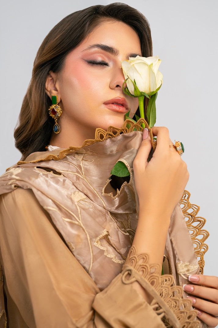 EARTHY COMB | FESTAL-3 | RJ’S PRET