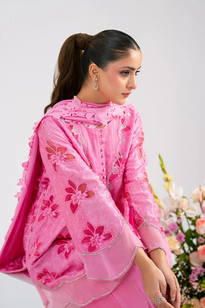 CANDY ROSE | FESTAL-3 | RJ’S PRET