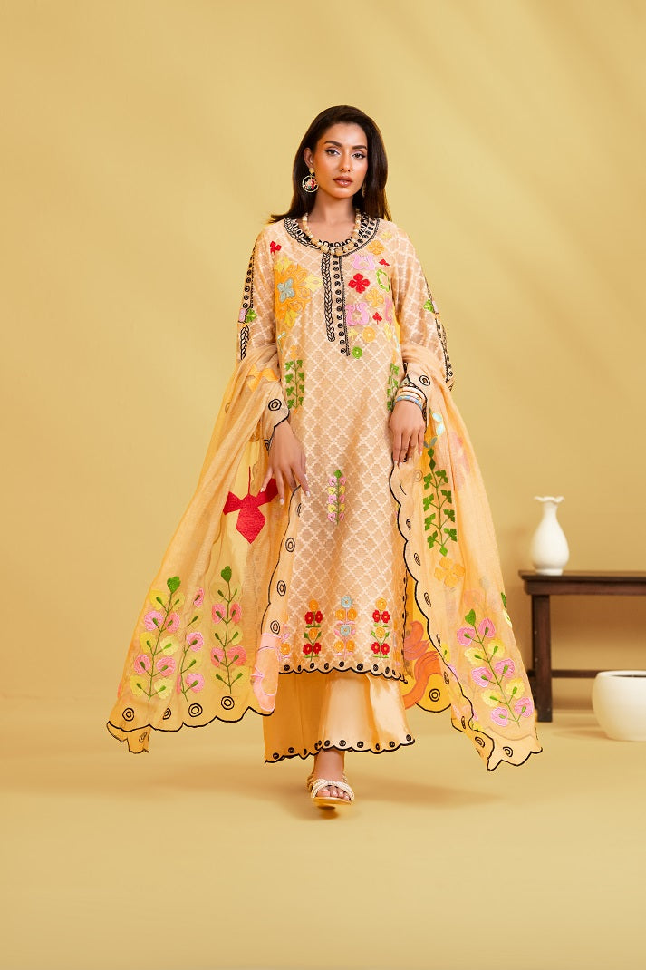 Plain Dupatta With Lace | Nooreh|Rjs Pret