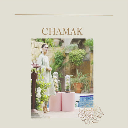 CHAMAK (MINT GREEN) | SHADMANI | RJ’S PRET