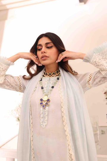 Blue Bell Umeed Embroidered Net Kurta Set | RJS PRET