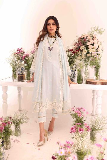 Blue Bell Umeed Embroidered Net Kurta Set | RJS PRET