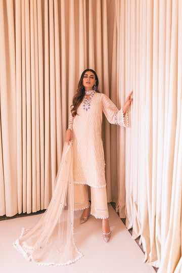 Spring Gate Umeed Embroidered Kurta Set | RJS PRET