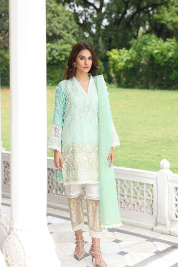 Seafoam Mystique 19 Embroidered Cotton Net Suit | RJ'S PRET