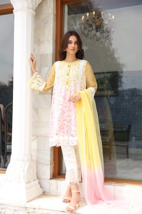 Dual Extravaganza Mystique Embroidered Net Suit | RJ'S PRET