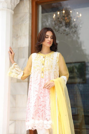 Dual Extravaganza Mystique Embroidered Net Suit | RJ'S PRET