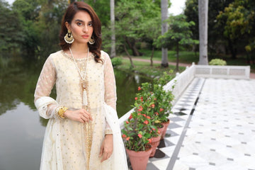Glam Diva Mystique Embellished Net Gown | RJ'S PRET