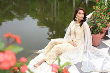 Glam Diva Mystique Embellished Net Gown | RJ'S PRET