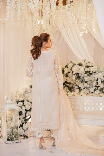 White Monotone Solids Embroidered Organza Suit | RJS PRET
