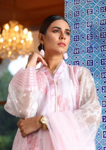 Crystal Pink Mystique Embellished Organza Dress | RJ'S PRET