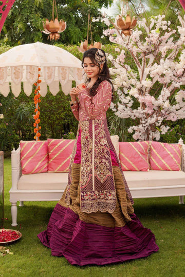 Dhanak Khushi Embroidered Lehenga Dress | RJS PRET