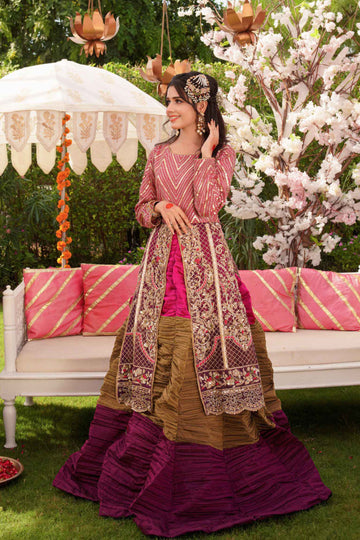 Dhanak Khushi Embroidered Lehenga Dress | RJS PRET