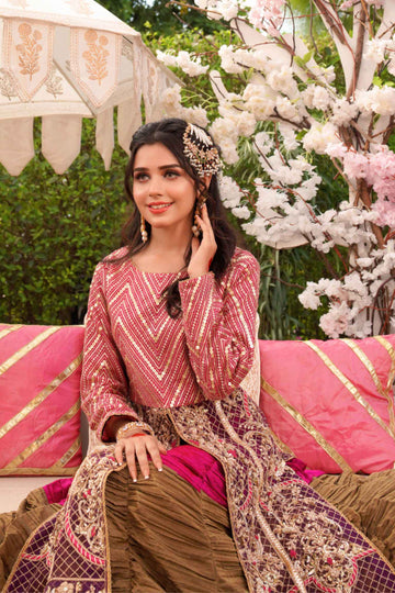 Dhanak Khushi Embroidered Lehenga Dress | RJS PRET