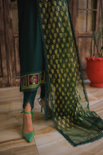 Emerald Block Kari – Block Printed Suit with Gotta & Chicken Kari