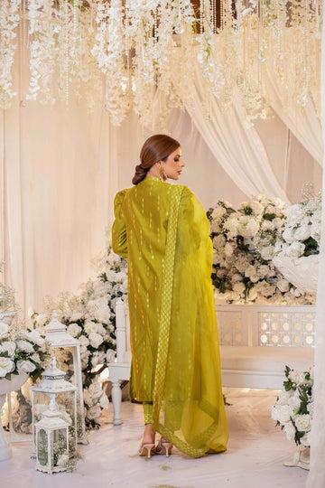 Dhani Monotone Solids Embroidered Organza Suit | RJS PRET