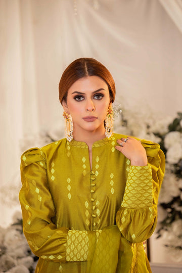 Dhani Monotone Solids Embroidered Organza Suit | RJS PRET