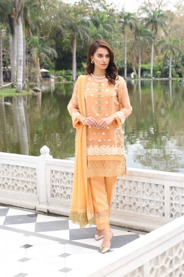 Ira Rai Mystique Banarsi Organza Suit | RJ’S PRET