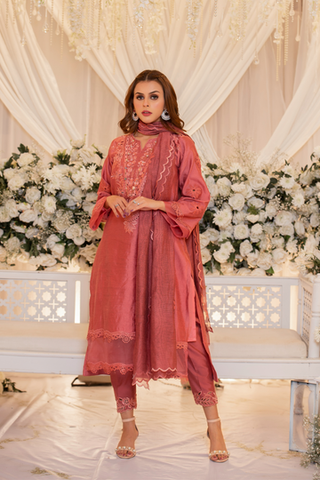 Chae Pink Monotone Solids Embroidered Organza Set | RJS PRET