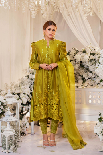 Dhani Monotone Solids Embroidered Organza Suit | RJS PRET