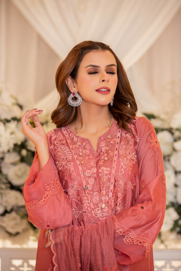 Chae Pink Monotone Solids Embroidered Organza Set | RJS PRET