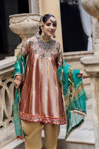 Anarkali | Party Wear | Pakistani Formal Dresses | RJ's Pret