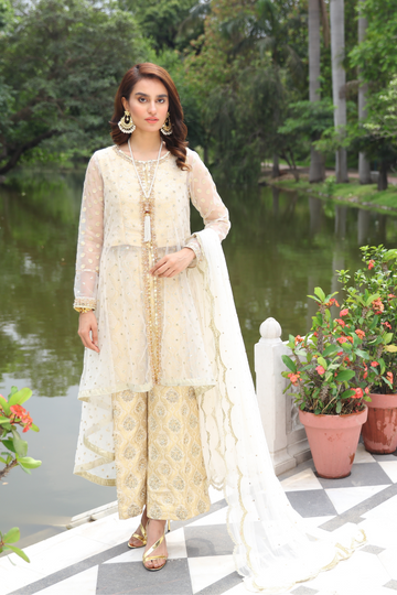 Glam Diva Mystique Embellished Net Gown | RJ'S PRET