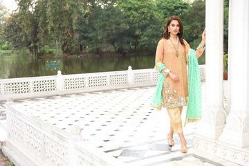 Royale Mystique Embroidered Cotton Net Suit | RJ'S PRET