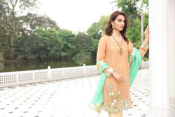 Royale Mystique Embroidered Cotton Net Suit | RJ'S PRET