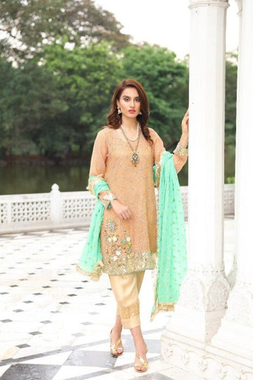 Royale Mystique Embroidered Cotton Net Suit | RJ'S PRET