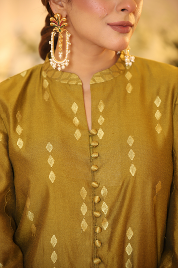 Dhani Monotone Solids Embroidered Organza Suit | RJS PRET