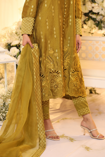 Dhani Monotone Solids Embroidered Organza Suit | RJS PRET