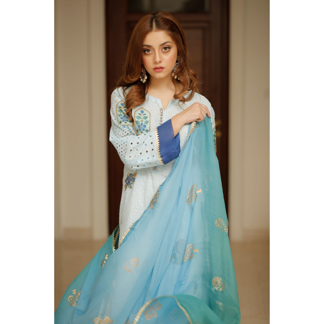 SHADES OF BLUE | RANG | RJ’S PRET