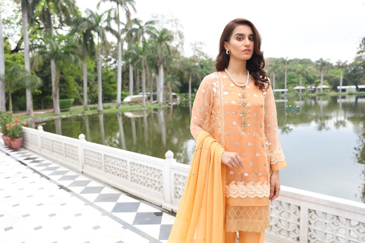 Ira Rai Mystique Banarsi Organza Suit | RJ’S PRET