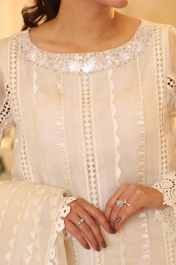 White Monotone Solids Embroidered Organza Suit | RJS PRET